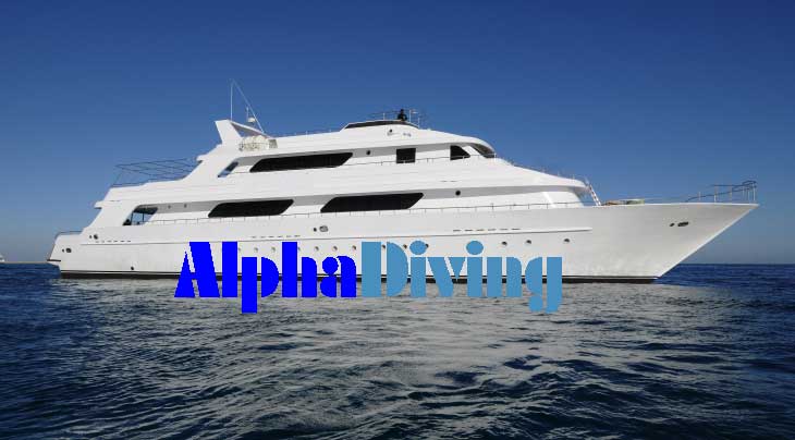 Liveaboard i Rødehavet
